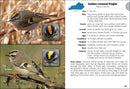 Birds of Kentucky Field Guide
