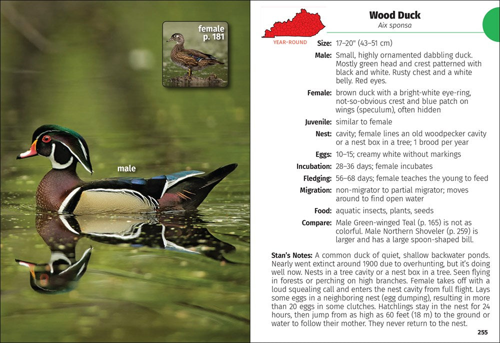 Birds of Kentucky Field Guide