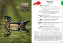 Birds of Kentucky Field Guide