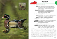 Birds of Kentucky Field Guide