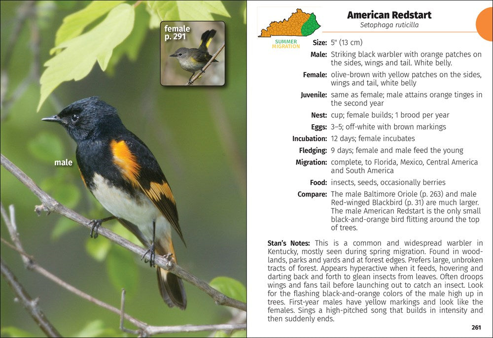 Birds of Kentucky Field Guide
