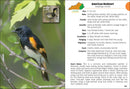 Birds of Kentucky Field Guide