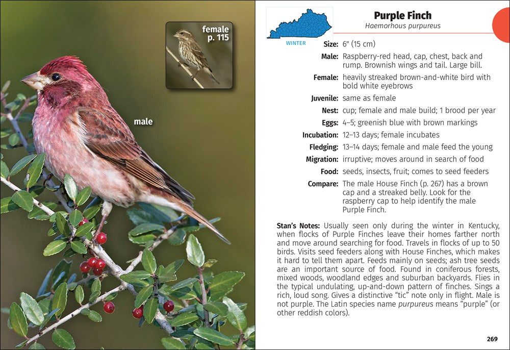 Birds of Kentucky Field Guide