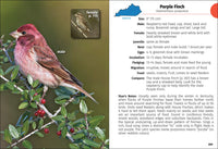 Birds of Kentucky Field Guide