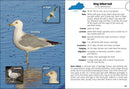 Birds of Kentucky Field Guide