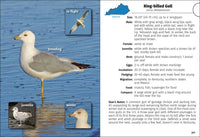 Birds of Kentucky Field Guide