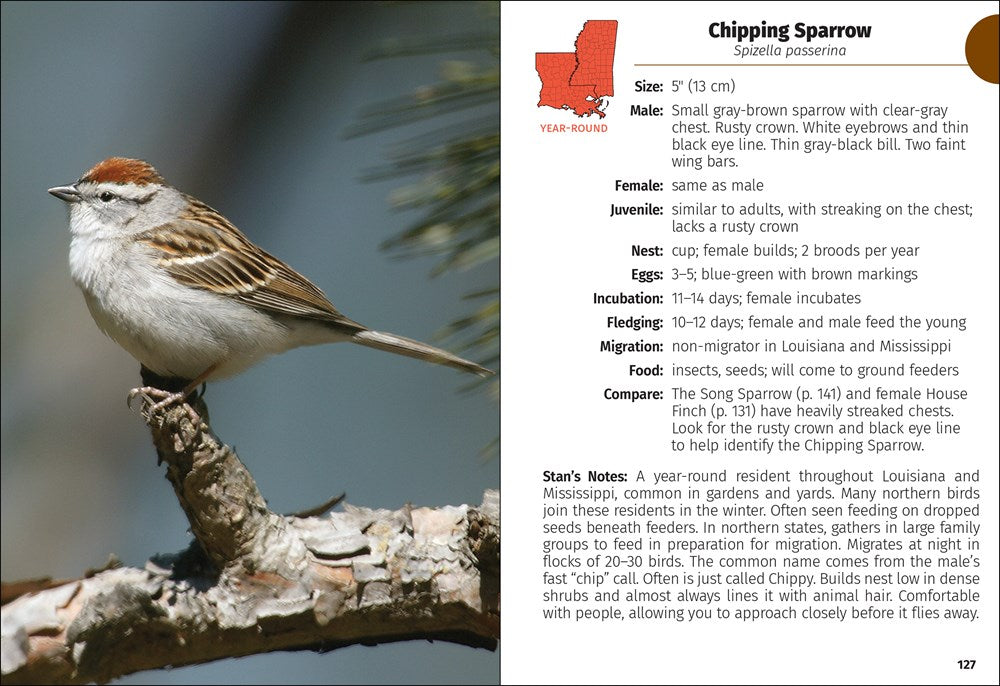 Birds of Louisiana & Mississippi Field Guide