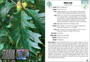 Trees of Indiana Field Guide
