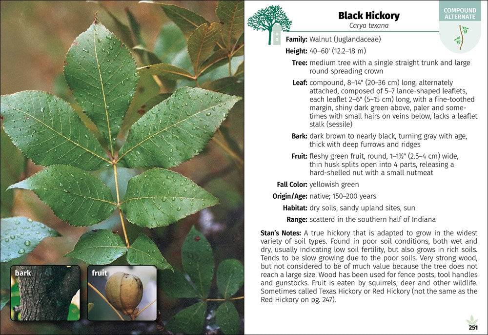 Trees of Indiana Field Guide