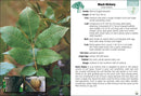 Trees of Indiana Field Guide
