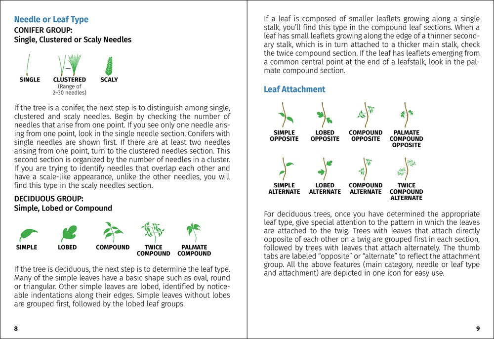 Trees of Indiana Field Guide