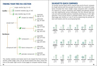 Trees of Indiana Field Guide