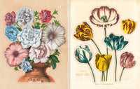 John Derian Sticker Book (John Derian Paper Goods)