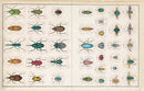 John Derian Sticker Book (John Derian Paper Goods)