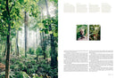Kinfolk Wilderness