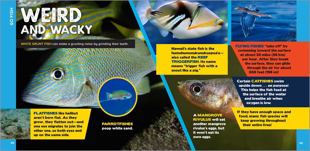 The Fascinating Ocean Book for Kids: 500 Incredible Facts! (Fascinating Facts)