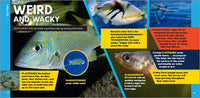 The Fascinating Ocean Book for Kids: 500 Incredible Facts! (Fascinating Facts)