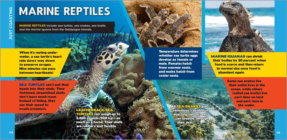 The Fascinating Ocean Book for Kids: 500 Incredible Facts! (Fascinating Facts)