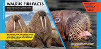 The Fascinating Ocean Book for Kids: 500 Incredible Facts! (Fascinating Facts)