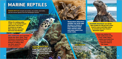 The Fascinating Ocean Book for Kids: 500 Incredible Facts! (Fascinating Facts)
