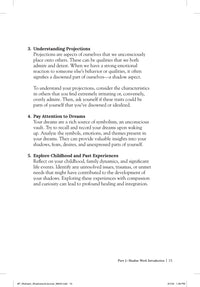 The Shadow Work Journal