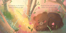 Bedtime Bear