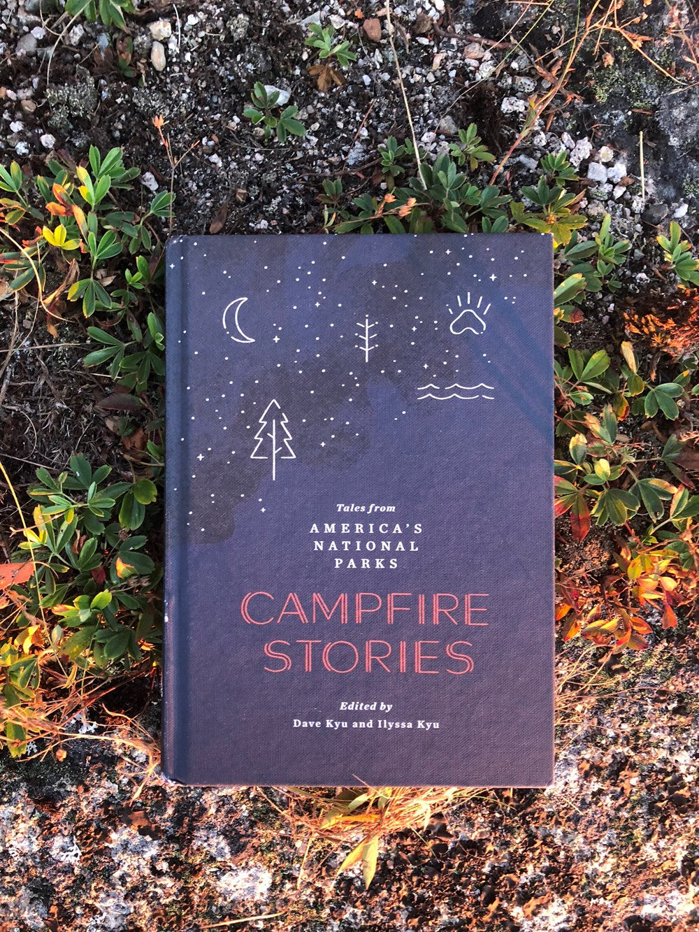 Campfire Stories