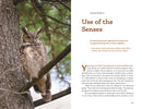 The Naturalist's Companion