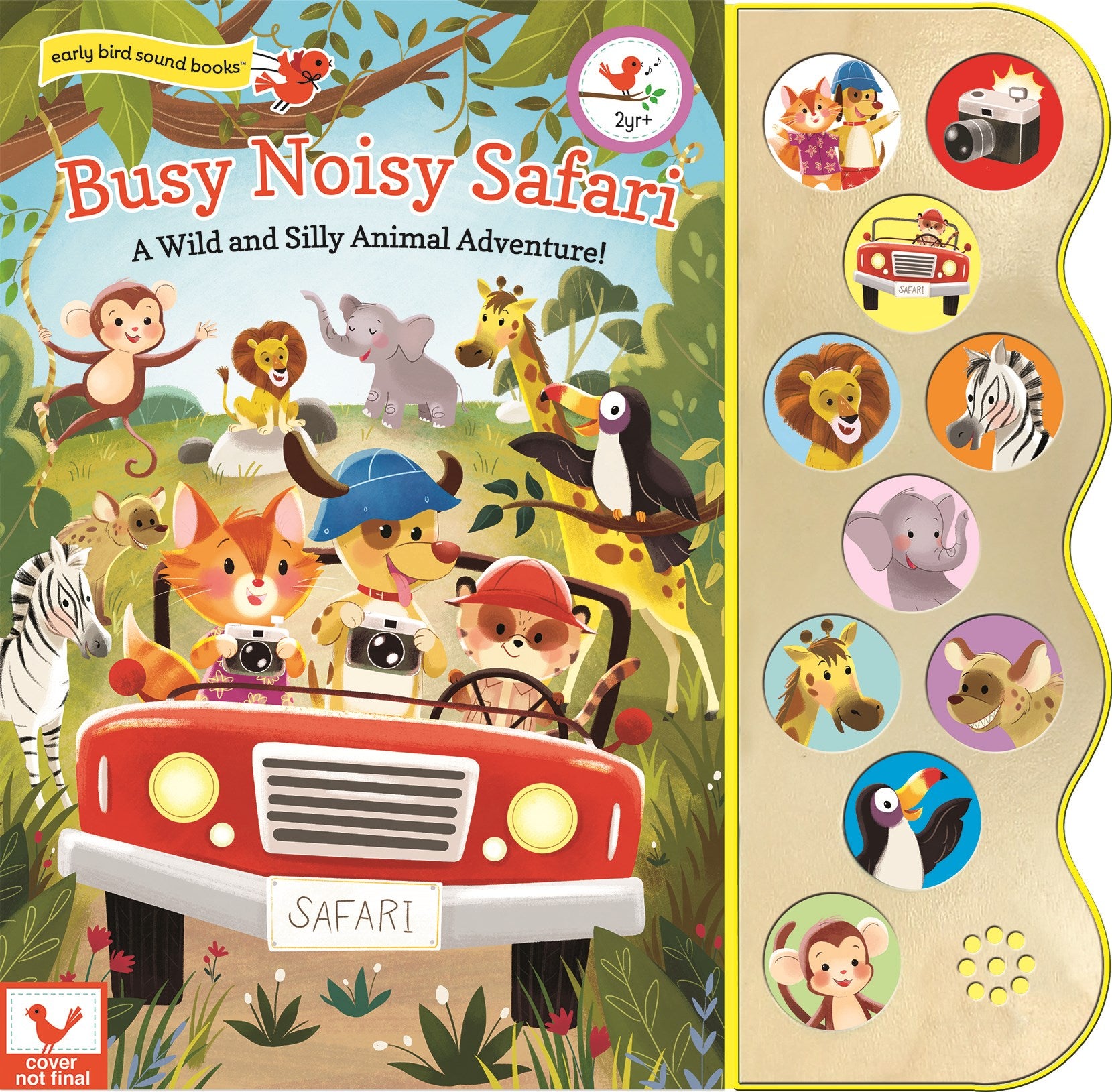 Busy Noisy Safari