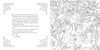 The Throne of Glass Coloring Book