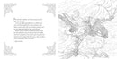 The Throne of Glass Coloring Book