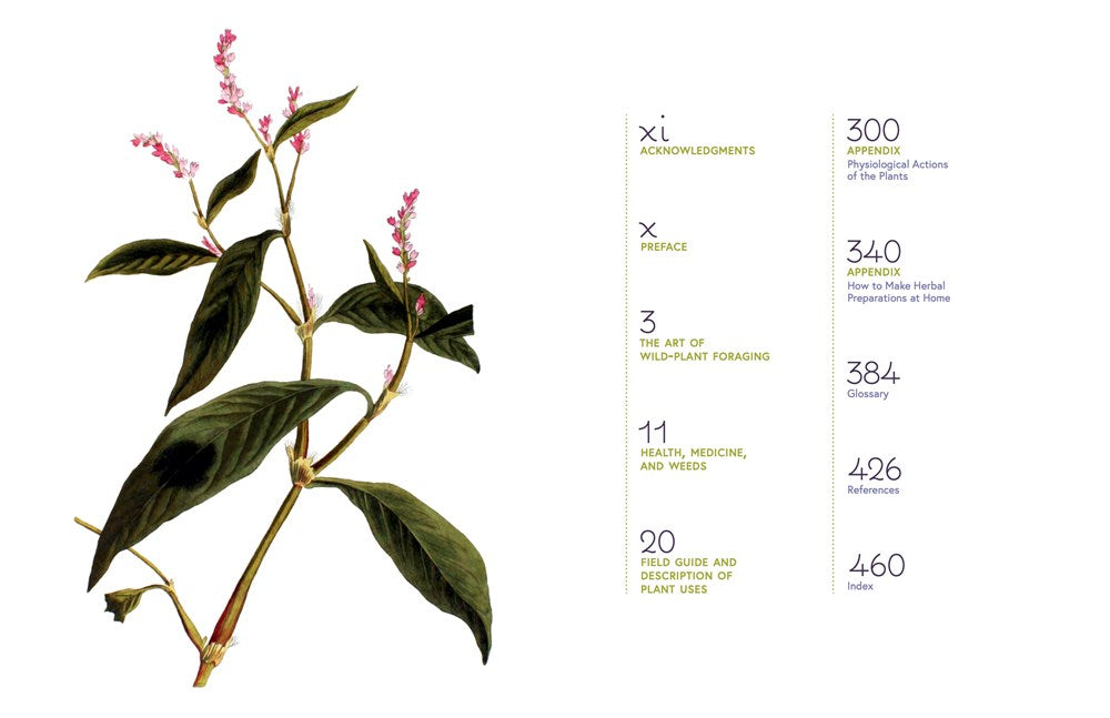 Edible and Medicinal Wild Plants of the Midwest