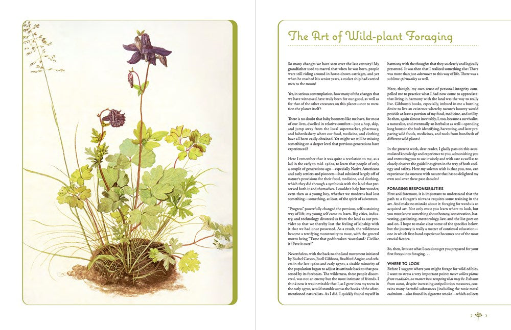 Edible and Medicinal Wild Plants of the Midwest
