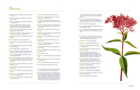 Edible and Medicinal Wild Plants of the Midwest