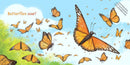 Butterflies Soar
