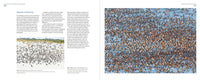 Mastering Bird Photography