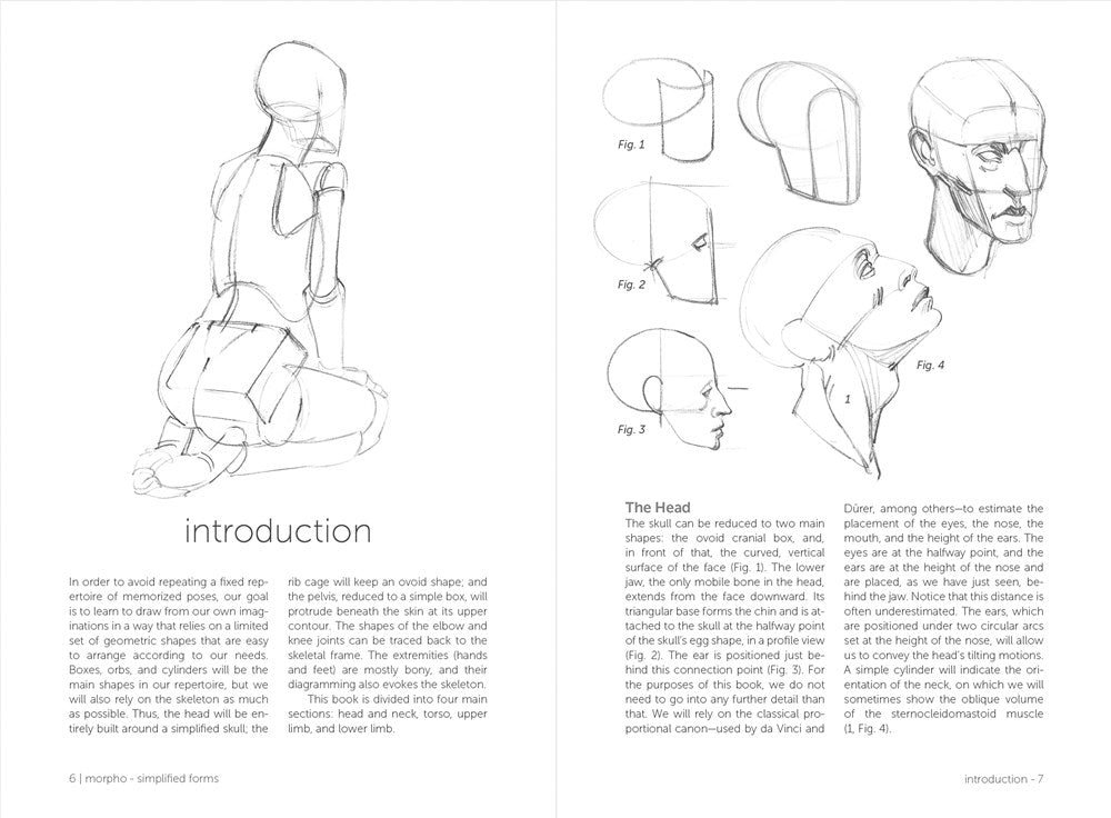 Morpho: Simplified Forms: Anatomy for Artists (Morpho: Anatomy for Artists, 2)