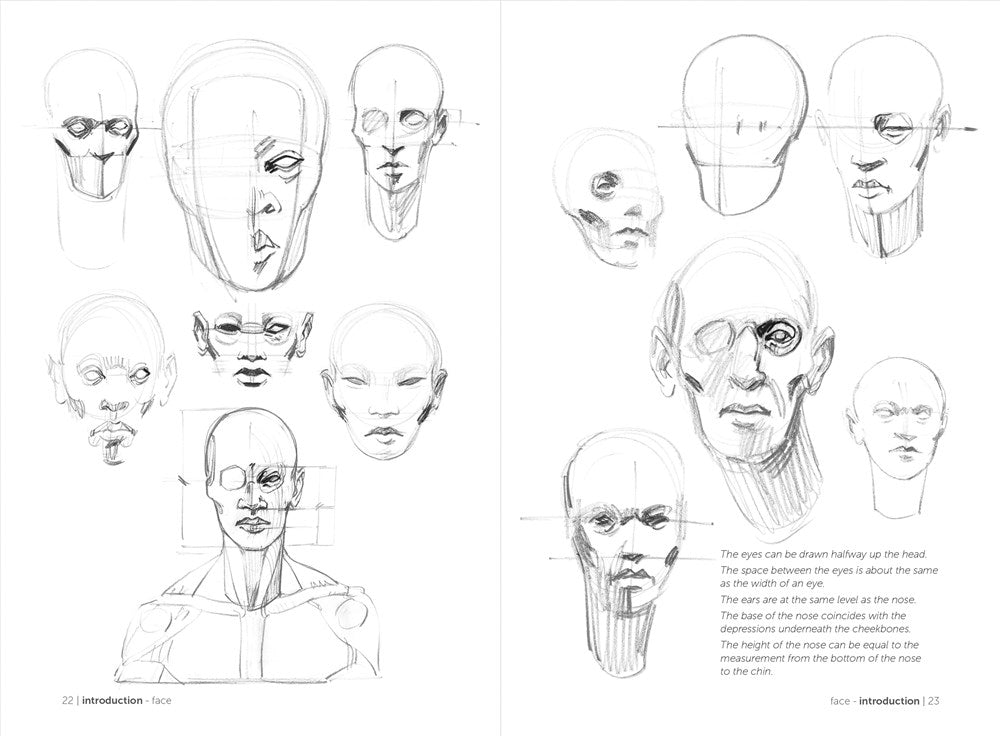 Morpho: Simplified Forms: Anatomy for Artists (Morpho: Anatomy for Artists, 2)
