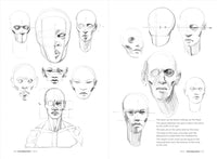 Morpho: Simplified Forms: Anatomy for Artists (Morpho: Anatomy for Artists, 2)