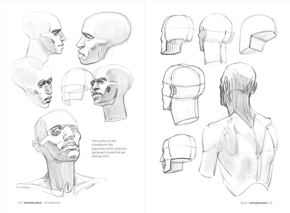 Morpho: Simplified Forms: Anatomy for Artists (Morpho: Anatomy for Artists, 2)