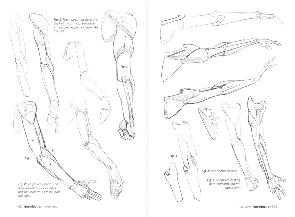 Morpho: Simplified Forms: Anatomy for Artists (Morpho: Anatomy for Artists, 2)