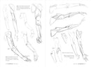 Morpho: Simplified Forms: Anatomy for Artists (Morpho: Anatomy for Artists, 2)