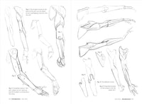 Morpho: Simplified Forms: Anatomy for Artists (Morpho: Anatomy for Artists, 2)
