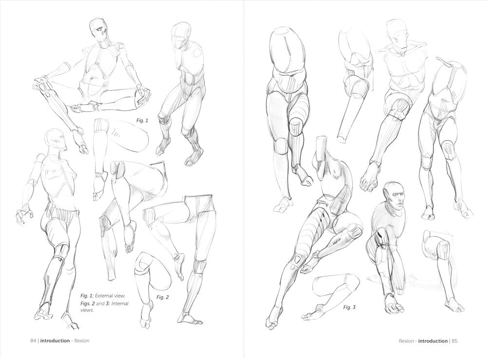 Morpho: Simplified Forms: Anatomy for Artists (Morpho: Anatomy for Artists, 2)