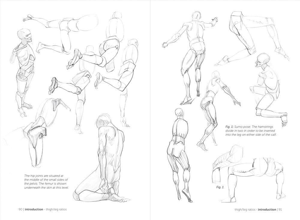 Morpho: Simplified Forms: Anatomy for Artists (Morpho: Anatomy for Artists, 2)
