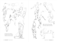 Morpho: Simplified Forms: Anatomy for Artists (Morpho: Anatomy for Artists, 2)