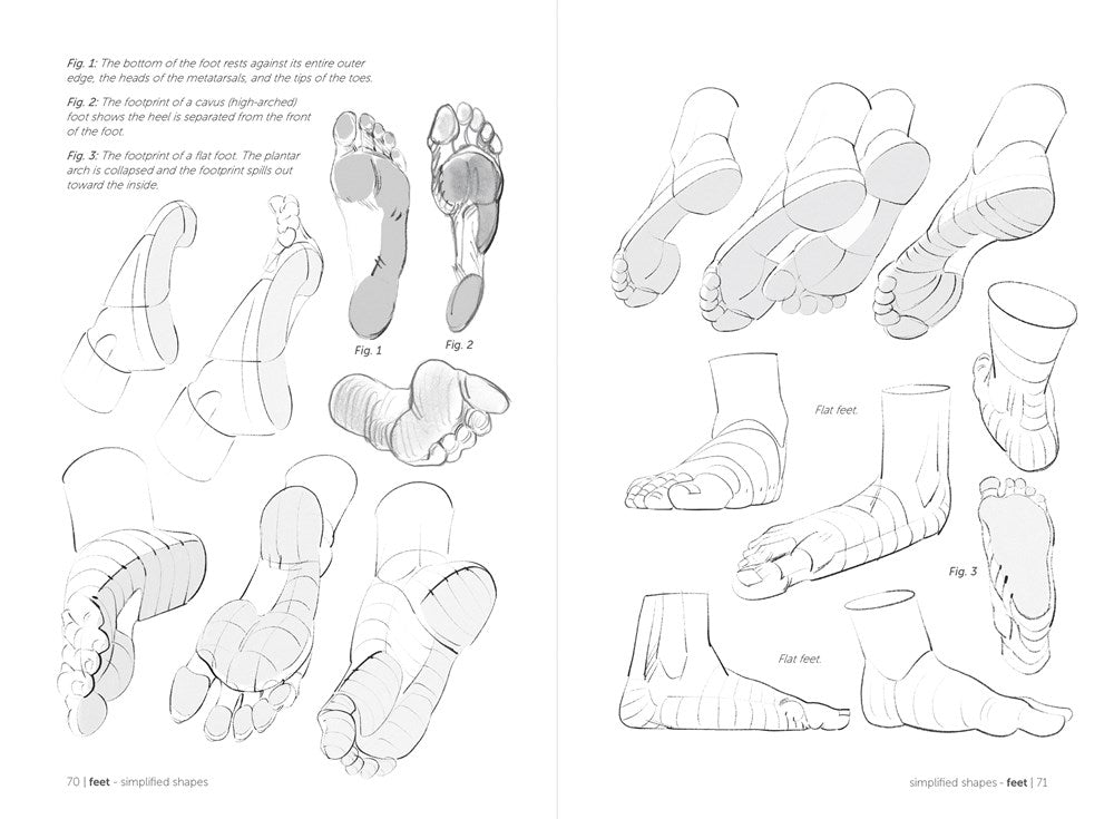 Morpho: Hands and Feet: Anatomy for Artists (Morpho: Anatomy for Artists, 5)