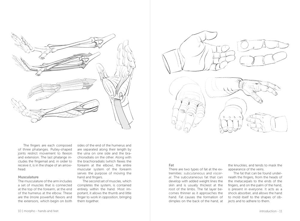 Morpho: Hands and Feet: Anatomy for Artists (Morpho: Anatomy for Artists, 5)