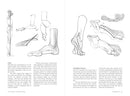 Morpho: Hands and Feet: Anatomy for Artists (Morpho: Anatomy for Artists, 5)