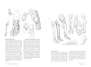 Morpho: Hands and Feet: Anatomy for Artists (Morpho: Anatomy for Artists, 5)